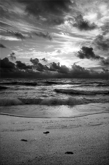 Sunrise at Beach - Black and White