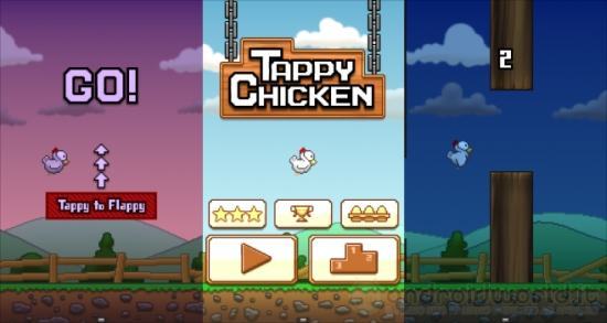 tappy-chicken