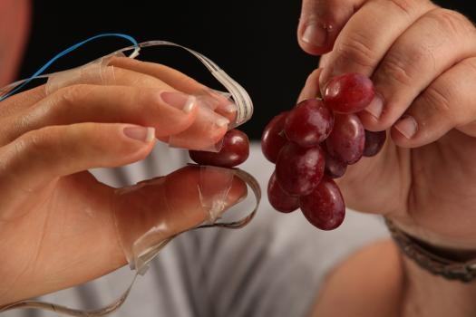 grape-test