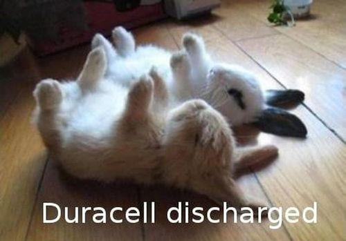 Cute-Funny-Duracell-Bunny-Discharged---Energizer-bunny--not-Duracell----Trance-