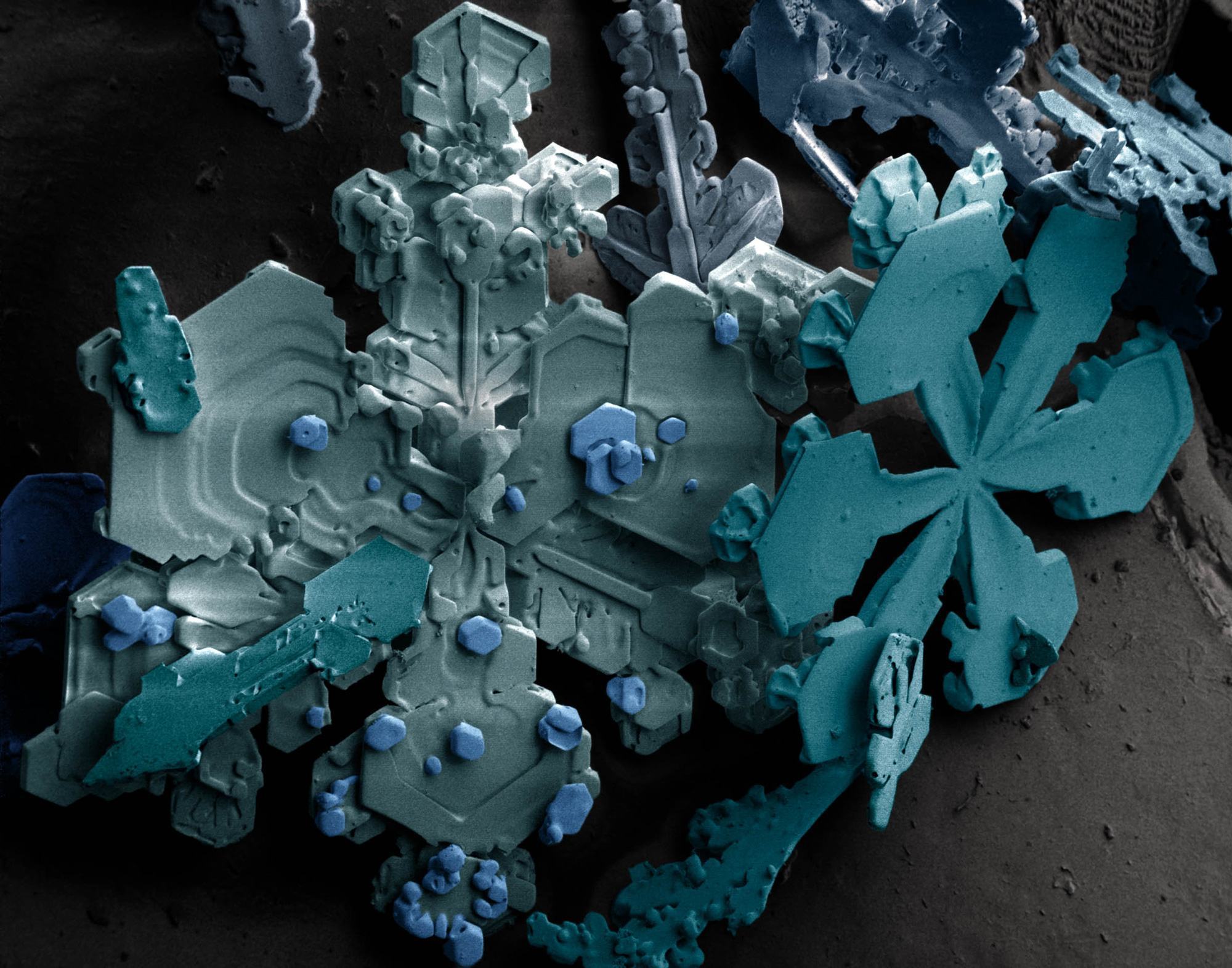 snowcrystals