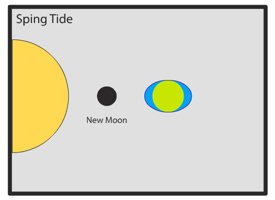 Moon_Phases_and_Tides-1