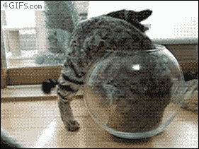 funny-gifs-10-bucks-you-dont-fit-in-this-jar