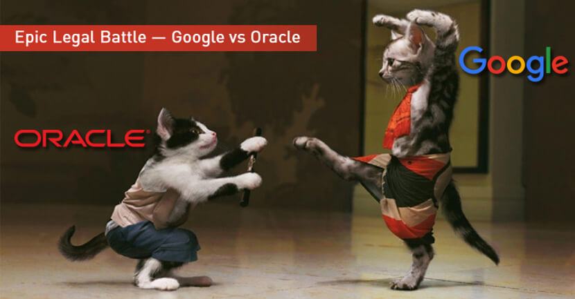 Google vs. Oracle Epic Legal Battle / cats