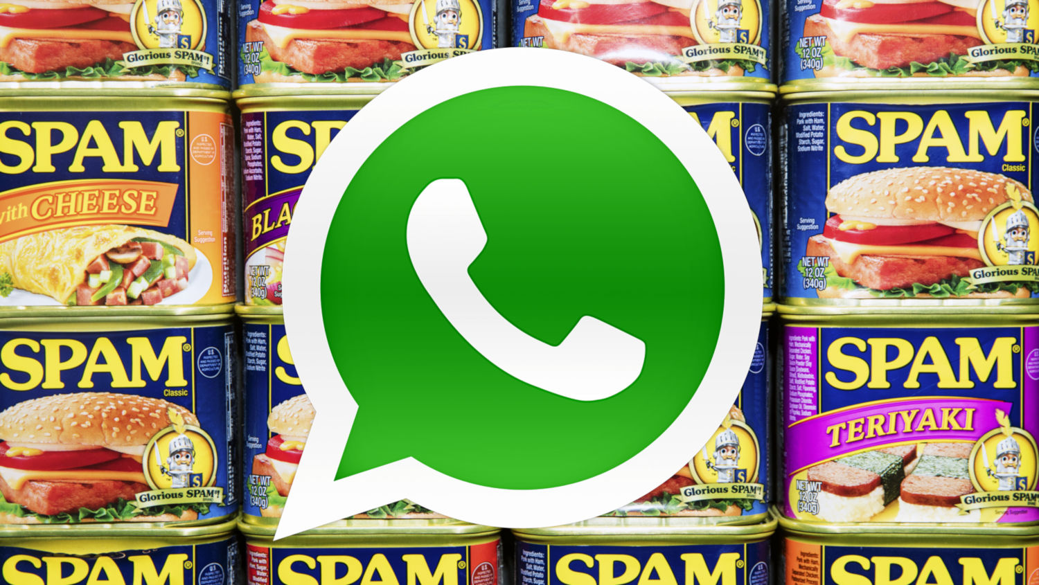 WhatsApp vs. Spam