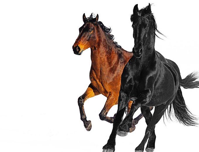 Capa do single Old Town Road