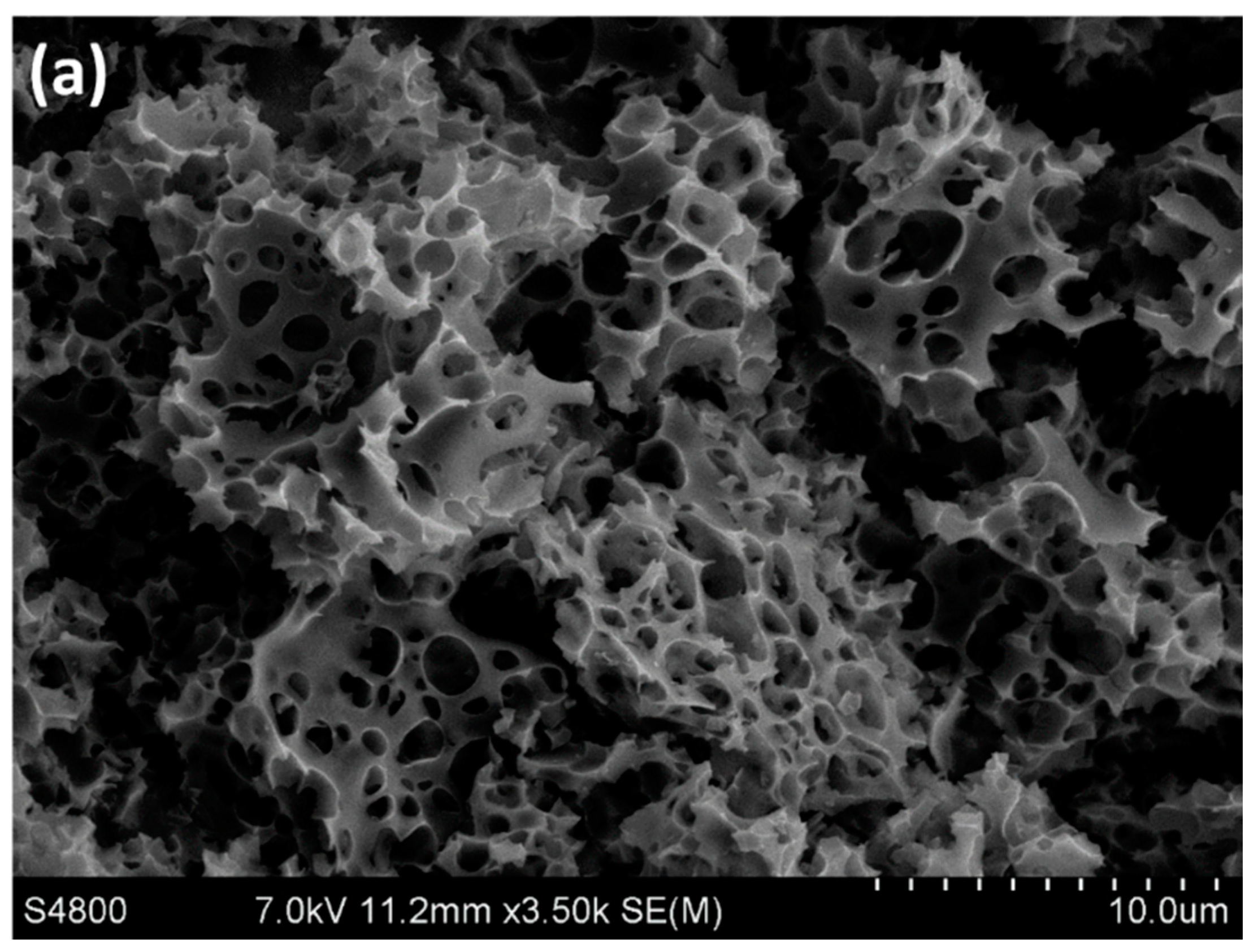 carvão ativado visto no microscópio.