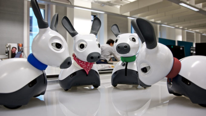 Unidades do MiRo-E, o cãozinho robô voltado para educação e pesquisa (Crédito: Divulgação/Consequential Robotics) / robôs
