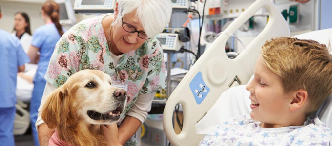 Cães terapeutas desempenham um papel importante na recuperação e conforto de pacientes (Crédito: Divulgação/Bayer)