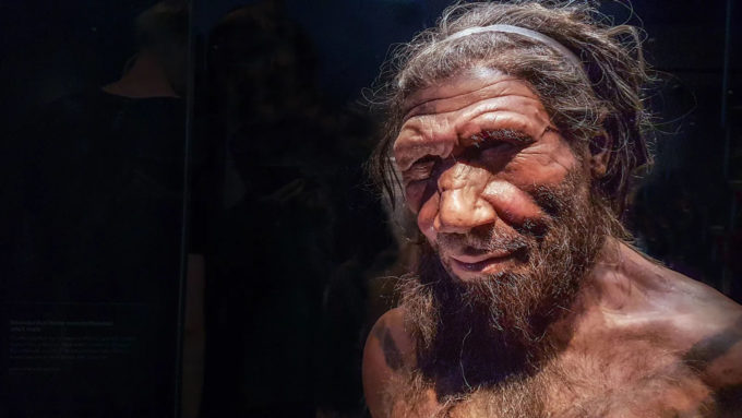 Reconstituição de como seria um neandertal adulto (Crédito: Flavio Massari/Alamy)