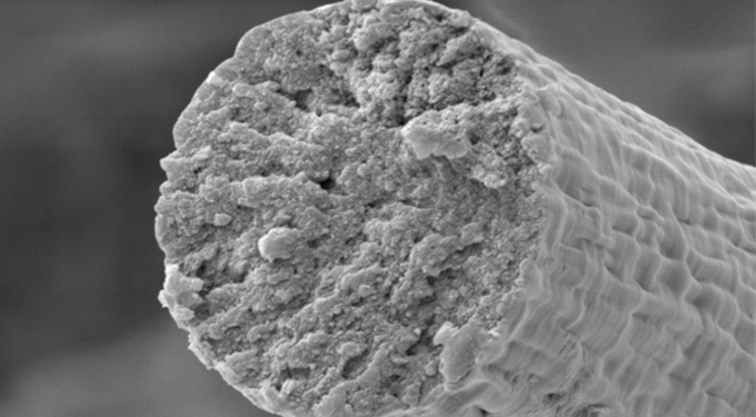Detalhe da fibra de titina produzida: mais resistente que muitos materiais por aí (Crédito: Reprodução/Washington University in St. Louis) / bactérias