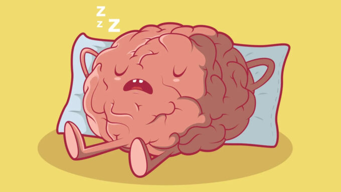 Uma boa noite de sono é essencial para que o cérebro mantenha tudo funcionando (Crédito: Shutterstock)