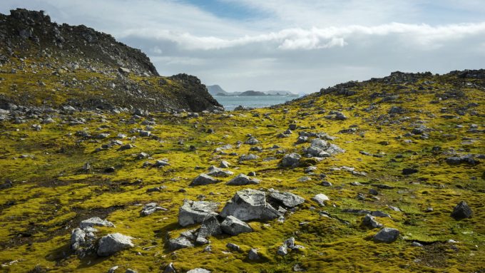 Parece a Escócia, mas é a ilha Robert, na península antártica (Crédito: Isadora Romero/Bloomberg/Getty Images)