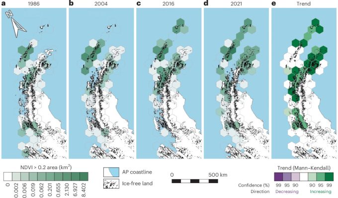 Dados dos satélites Landsat 5-8 mostram processo de "esverdeamento" da península antártica; cada hexágono equivale a uma área de 5.000 km² (Crédito: Nature Geoscience, ISSN 1752-0908)