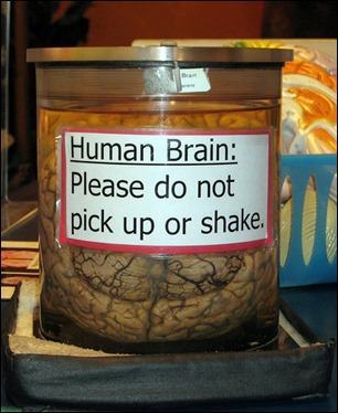brain-human-jar-thesuiteworld