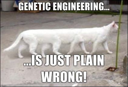 genetic-engineering