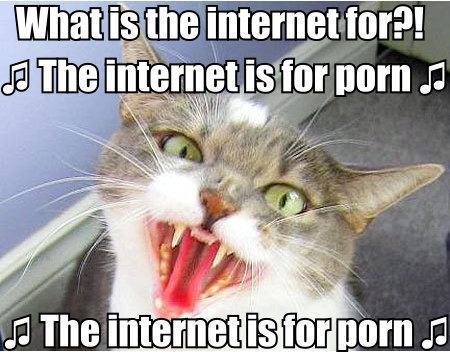 LOLcat confirma: The Internet is for p0rn.